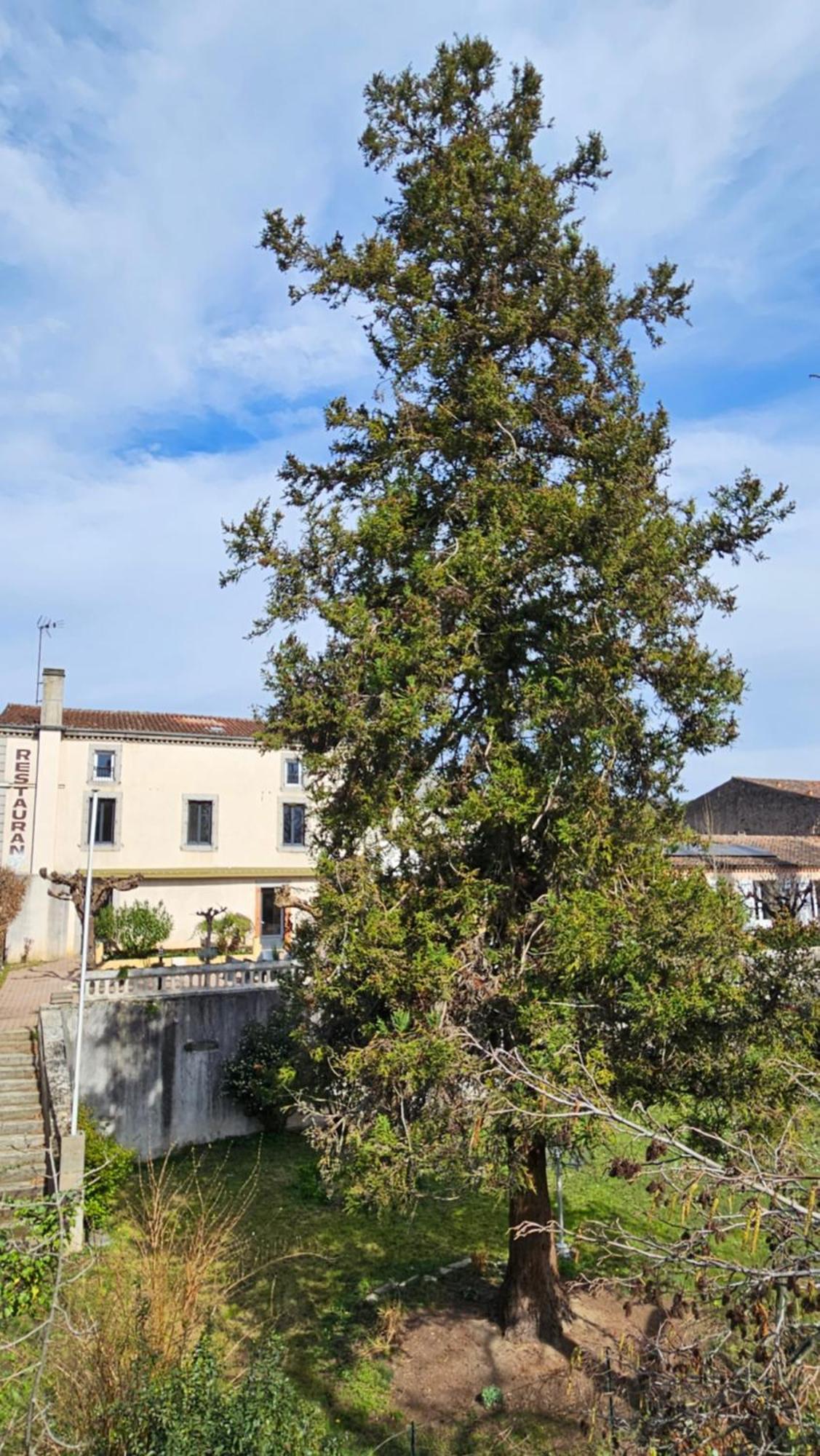 Coliv'Castres Villa Burlats ภายนอก รูปภาพ